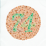 Example of an Ishihara color test plate. The numeral  '74' should be clearly visible to viewers with normal color vision. Viewers with dichromacy or anomalous trichromacy may read it as '21', and viewers with achromatopsia may see nothing.